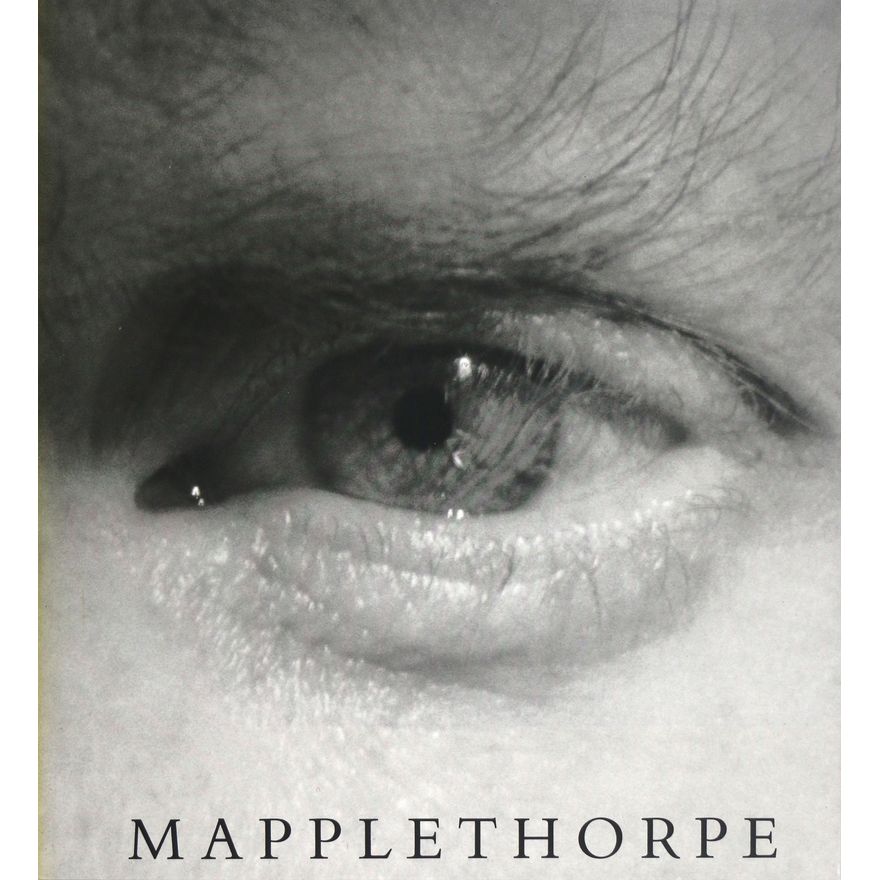 DANTO, ARTHUR C.  - Mapplethorpe
