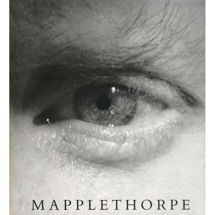 DANTO, ARTHUR C. - Mapplethorpe