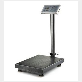 300kg Foldable Indistrial Weighing and Price Computing Scale | ONE SCREW MISSING / ONE CORNER BENT