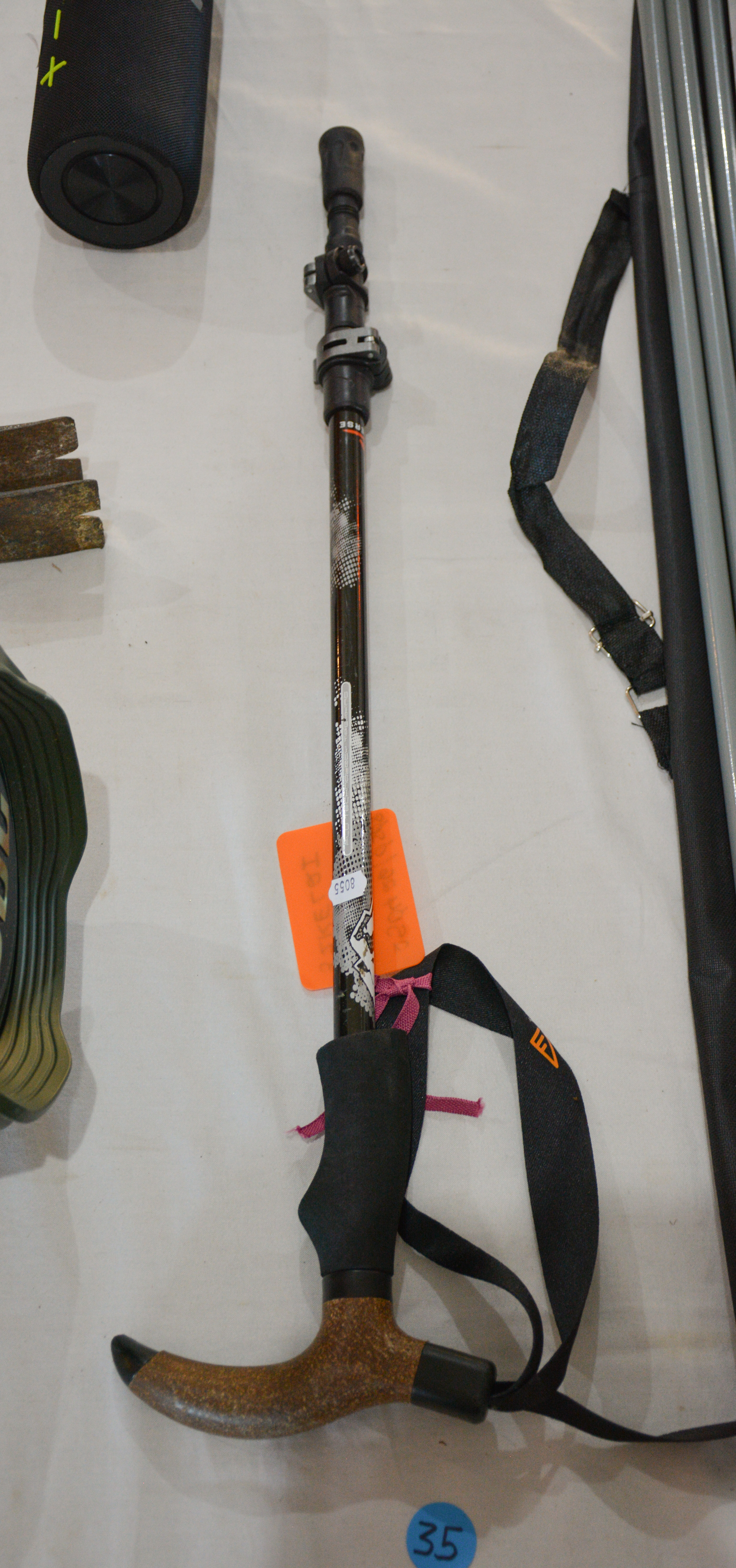 Extendable Trekking Pole — NZ auction result