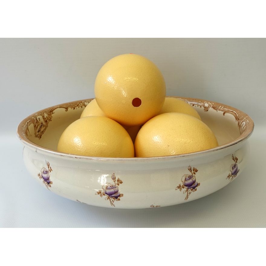 LARGE PORCELAIN BOWL AND 5 OSTRICH EGGS