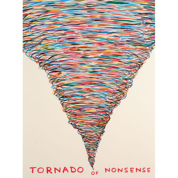 David Shrigley 'Tornado of Nonsense'