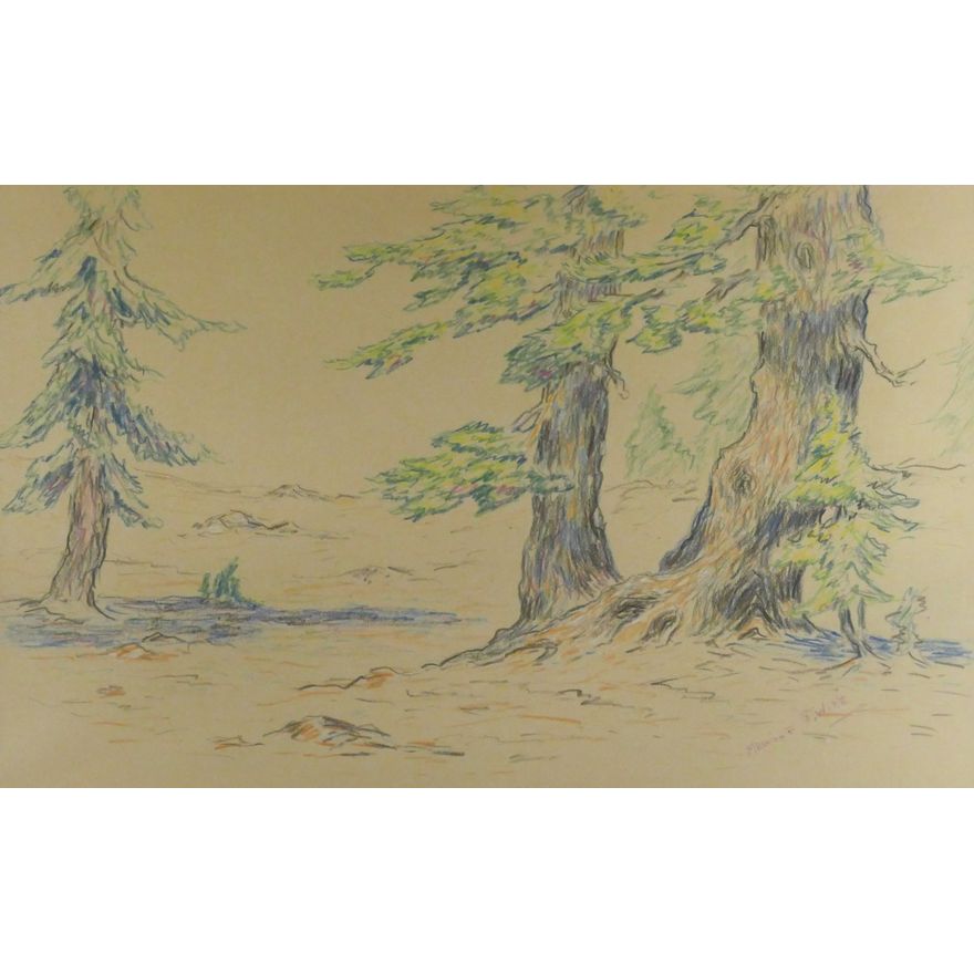 Melville Wire ''Three Trees'' Colored Pencil