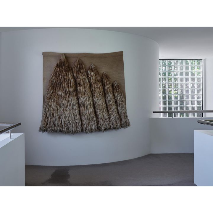 Judy McIntosh Wilson 'Brown Fleece V'