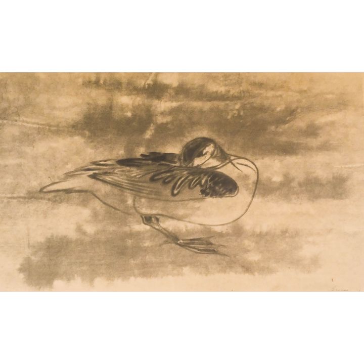Morris Graves ''Preening Duck'' 1953 Lithograph
