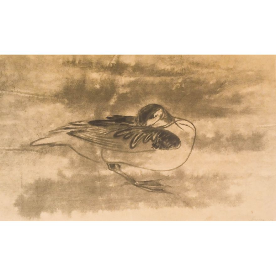 Morris Graves ''Preening Duck'' 1953 Lithograph